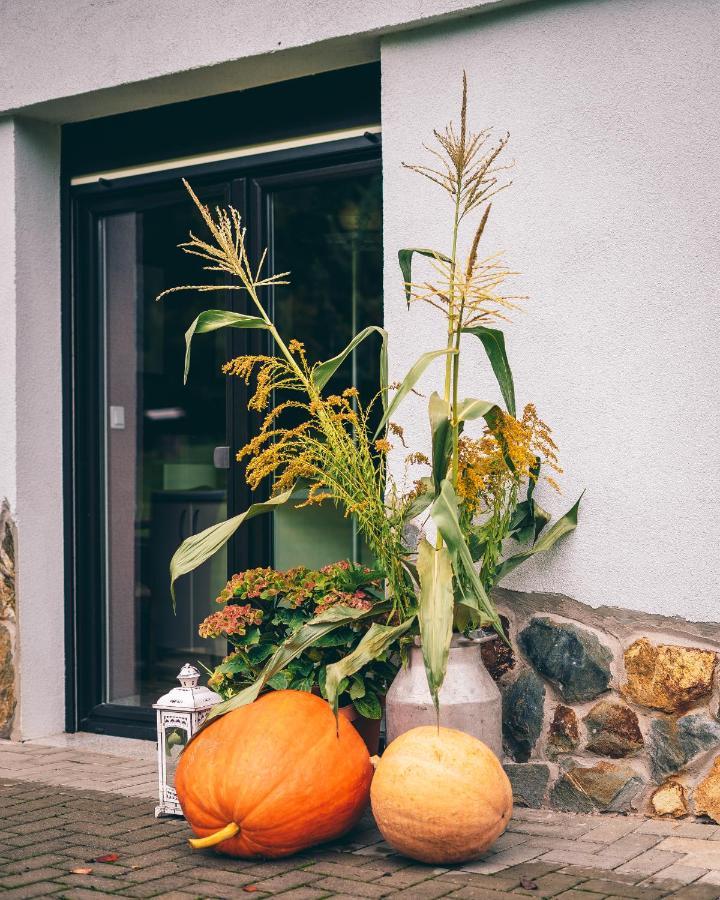 Lipolas-Slowlife&Guesthouse Jurkow  エクステリア 写真